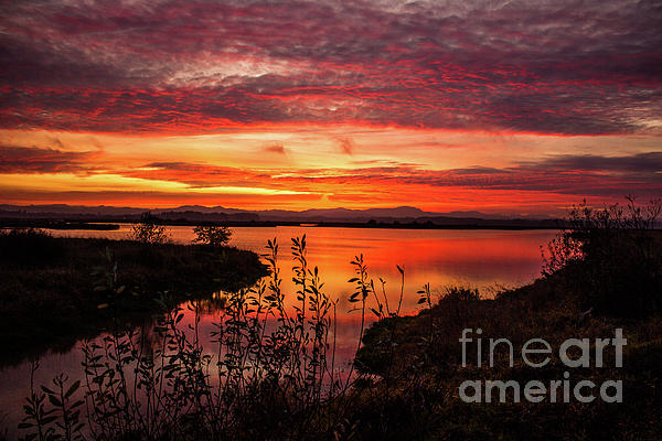 Fall Sunset by Michael Cross Fall Sunset by Michael Cross